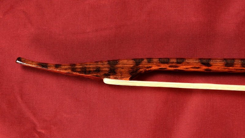 Come Si Chiama La Bacchetta Del Violino